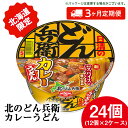 【ふるさと納税】 【2025年2月より発送開始】【定期便3カ月】日清 北のどん兵衛 カレーうどん [北海道仕様]24個 カレー うどん カップ麺 即席めん 即席麺 どん兵衛 千歳 ケース麺類 カップ麺 カップうどん インスタント 麺類 【北海道千歳市】ギフト ふるさと納税