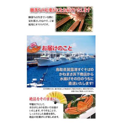 ふるさと納税 若桜町 【先行予約】鳥取県産　訳あり活松葉がに　2〜3枚で1.2kg以上(1〜4本足落ち) |  | 03