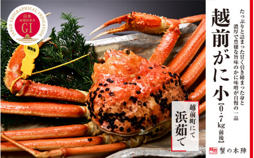 冬の日本海の味　浜茹で【越前がに　0.7kg前後】11月～翌３月順次発送 [e56-x004]