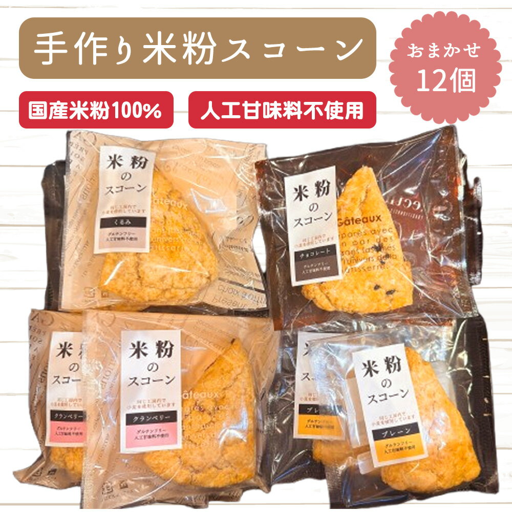 【ふるさと納税】No.510 グルテンフリー　手作り米粉スコーン　おまかせ12個　詰め合わせ ／ パン 米粉 おやつ 朝食 ティータイム 国産米粉100％ 手作り セット 送料無料 愛知県