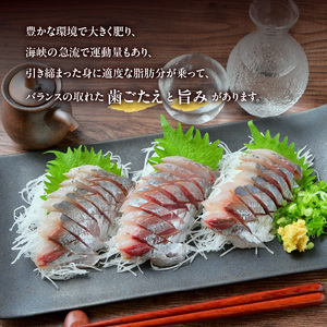 E04022　関あじ・関いさき（鮮魚）セット（各1尾）