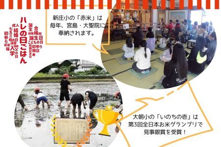 大朝小紅白米プロジェクト ハレの日ごはんセット_WA012_008