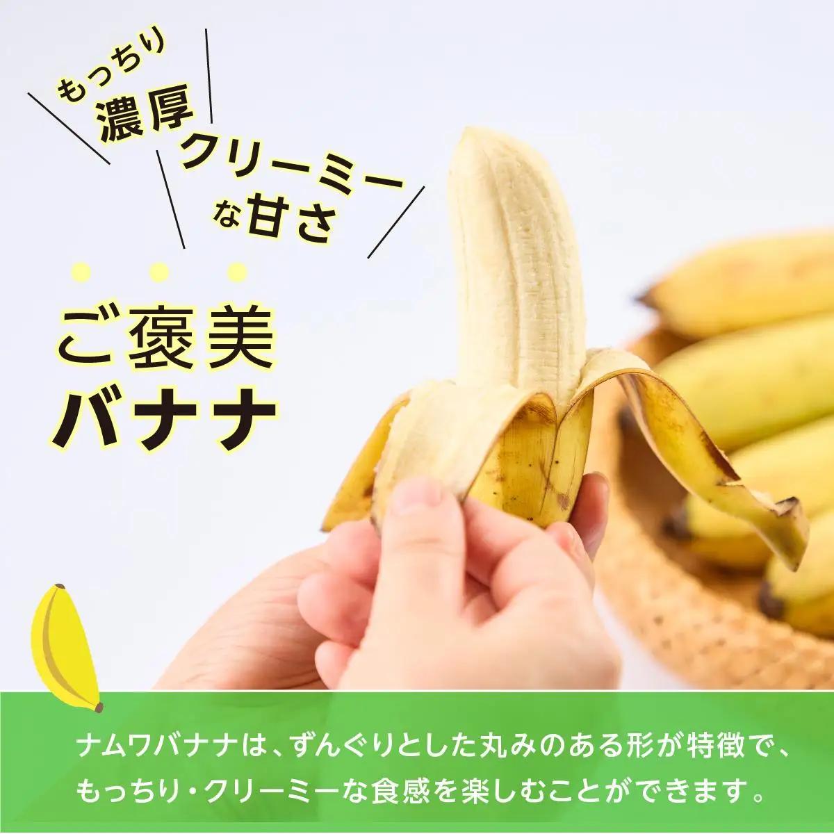 ナムワバナナ　2kg