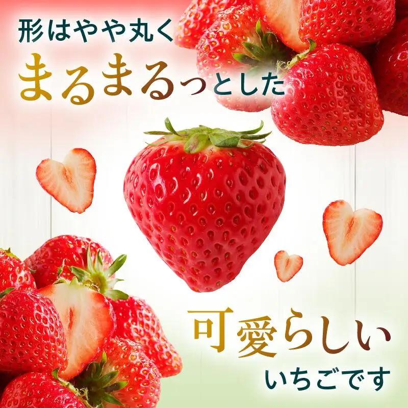 大粒厳選(1粒20g以上)!さぬきひめいちご 約1kg【2027-3月上旬～2027-3月下旬配送】