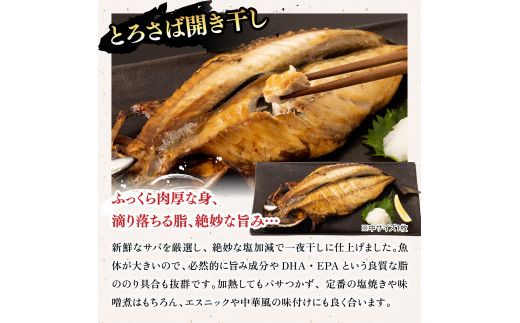 《12月31日まで指定配送可》敦賀の豪華 海鮮福袋 8種 [024-e201_20-h]【生ズワイポーション むきえび ホタテ 甘エビ とろろ昆布 いくら?油漬け さば開き干し 縞ほっけ開き 詰め合わせ セット 海鮮 魚介 魚 カニ かに えび エビ ほたて 帆立 甘えび イクラ サバ ホッケ 冷凍 甲羅組 人気 厳選】