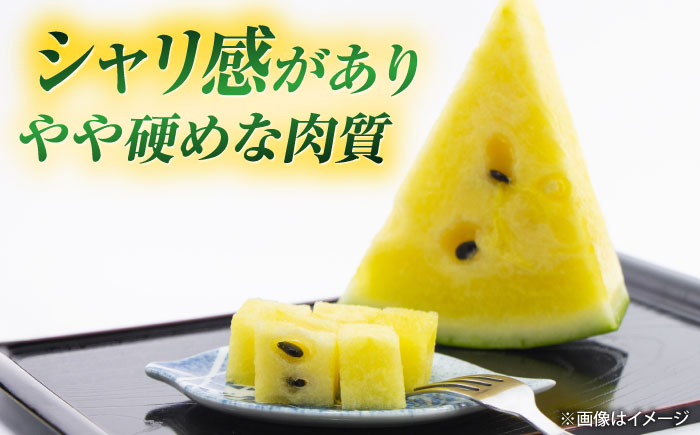 【先行予約】 ＼TVで話題／ ムーンフラッシュ 黄色 スイカ 大玉 1玉 約 8kg すいか 西瓜 熊本県産 産地直送 農家直送 熊本 くまもと 山鹿 【きもと農園】[ZFQ005]