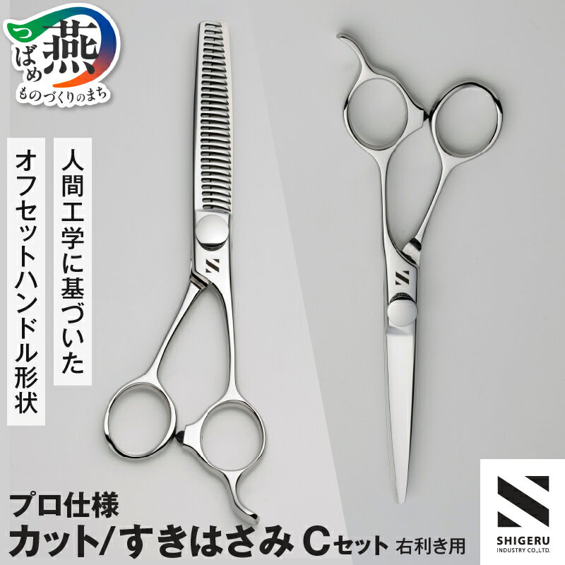 【ふるさと納税】 髪はさみ カット鋏 & 梳き鋏セット「C」※プロ仕様【 美容師 理容師 ハサミ 2丁 すきばさみ 右利き用 家庭用 散髪 髪の毛 はさみ ヘアカット セルフカット ステンレス ギフト プレゼント 贈り物 シゲル工業 新潟県 燕市 燕三条 】 [f30137]