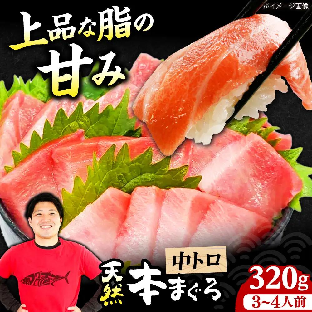 たね熟天然本まぐろ中トロ(320g)[AOCE009]まぐろ