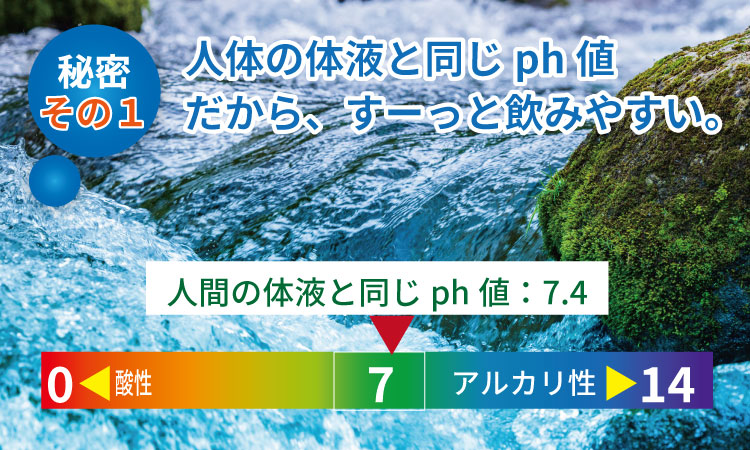 蛍の郷の天然水（炭酸水）1L×15本（1ケース）  送料無料 健康と美容 ハイボール ソーダ 割り材 天然水 水・ミネラルウォーター 炭酸飲料 ペットボトル 送料無料 人気 ランキング 高評価