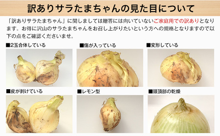 訳あり サラたまちゃん 新玉ねぎ 5kg 《4月中旬-5月末頃出荷》熊本県 葦北郡 津奈木町 野菜 たまねぎ エコファーマー 大中小サイズ混合 特産品 サラたまちゃん サラダ玉ねぎ 玉ねぎ タマネギ