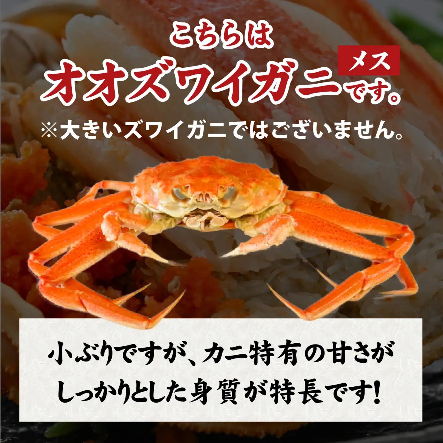 【訳あり】釜茹で 蟹好き集まれ！オオズワイガニ（メス）甲羅盛 2個セット [A-096035] / ズワイガニ