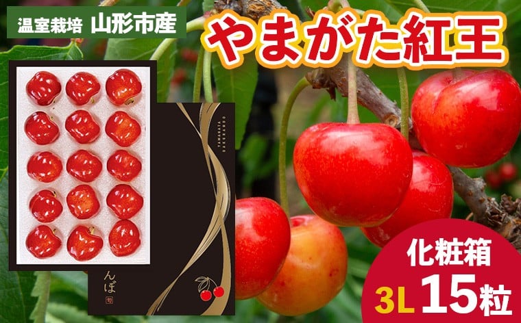 
            温室栽培 山形市産「やまがた紅王」3L 15粒 化粧箱 【令和8年産先行予約】FS25-025
          
