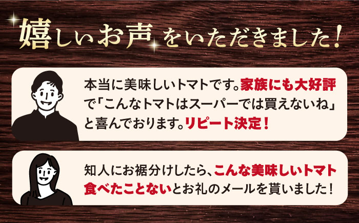 トマト 高糖度 【2026年3月より配送開始】【2回定期便】糖度9度以上！大島トマト 特選「 ルビーのしずく 」約1.2kg＜大島造船所農産G＞ [CCK030] 長崎 西海 トマト とまと 大島トマ