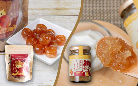 【ほんきのしょうが】はたらくオトナ女子のカラダケアセット【ジンジベル】[AYAD007]