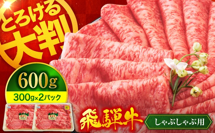 
            《年内発送 12月10日決済まで》＜A5ランク＞ 飛騨牛 しゃぶしゃぶ用 600g（300g×2）【有限会社マルゴー】牛肉 和牛 国産 [MBE066]
          