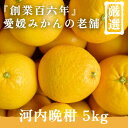 【ふるさと納税】創業108年 愛媛みかんの老舗【河内晩柑5kg】【新口農園】【C70-16】_ 晩柑 河内晩柑 みかん ミカン 柑橘 フルーツ 果物 くだもの 青果 産地直送 産直 愛媛 甘い ジューシー 常温 和製グレープフルーツ さっぱり 家庭用 【1470706】