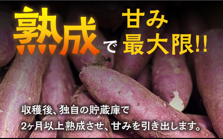 【お試し】【ねっとり甘い熟成サツマイモ】冷凍焼き芋（紅はるか） 3本(S～M) / さつまいも やき芋 冷凍 小分け 個包装 / 南島原市 / 池田海陸物産[SEW005]