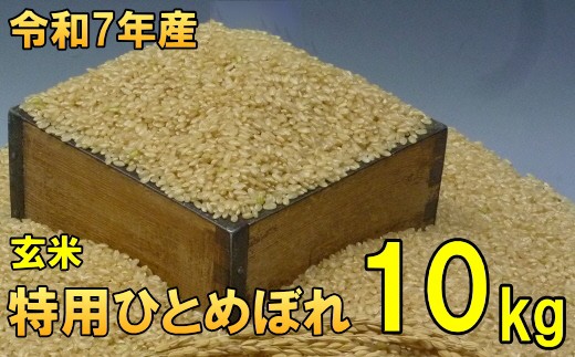 
                  数量限定 令和7年産 岩手県奥州市産 特用ひとめぼれ 玄米 10kg(10kg×1) 生活応援 緊急支援 【7日以内発送】 おこめ ごはん ブランド米 [AC040]
                