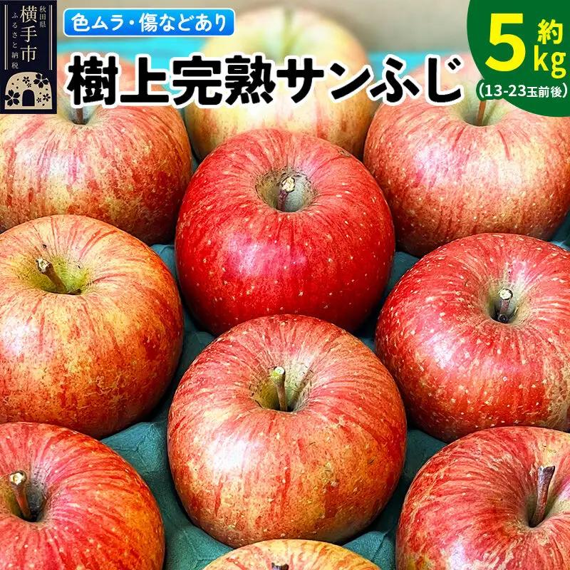 【先行受付】12月上旬より発送【色ムラ・キズ等あり】樹上完熟サンフジ 約5kg（13～23玉前後）