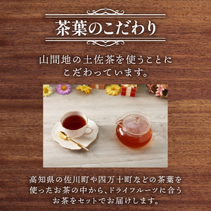 ドライフルーツ 2パック 紅茶 1袋 セット TJ017