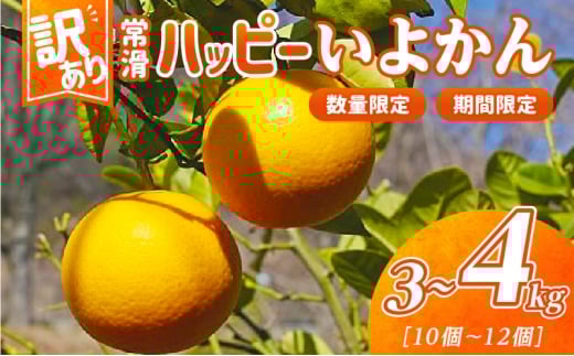 【訳あり】常滑ハッピーいよかん 果物 フルーツ 柑橘 伊予柑 イヨカン みかん 訳あり ご家庭用 数量限定 愛知県 常滑市 知多半島