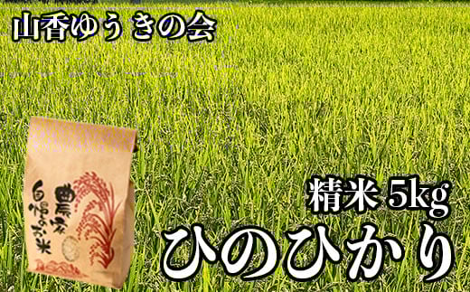 【 令和7年産 新米 先行予約 】山香ゆうきの会の米 5kg（精米：ひのひかり） 新米 5kg 米 先行予約 先行受付 ＜002-004＞