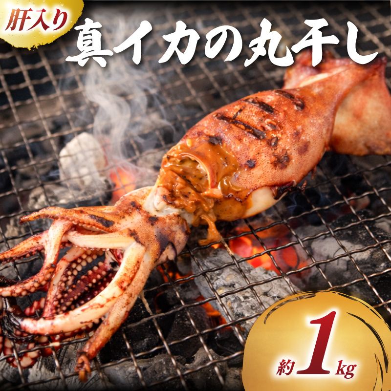 【ふるさと納税】 訳あり 真イカ の 丸干し 1kg スルメイカ イカ 一夜干し 干物 天日干し わけあり 訳有 干し 肝入り 肝 海の幸 海 魚 ご飯のお供 おかず 惣菜 冷凍食品 おつまみ おすすめ おいしい 贈答 ギフト プレゼント 記念日 お祝い 送料無料 ふるさと納税 千葉県 旭市