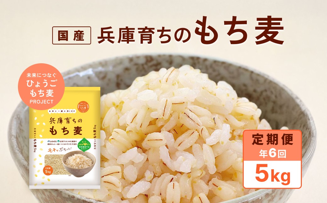
            【定期便6回発送】兵庫育ちのもち麦5kg　[食物繊維 もちむぎ キラリモチ 国産 健康 加東市]
          
