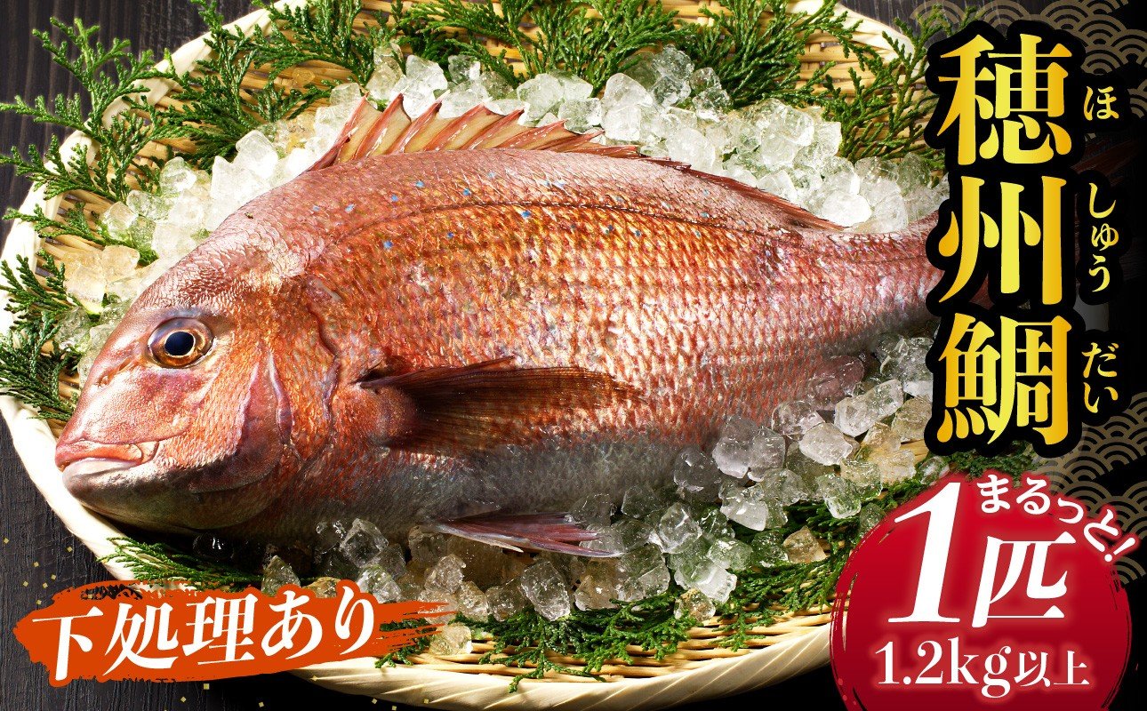 
                  渡邊水産 穂州鯛（下処理あり）／ ブランド鯛 三枚おろし 内臓 鱗 処理 産地直送 まるごと 1尾 1匹 鮮魚 真鯛 マダイ 鯛 タイ 鯛しゃぶ 鯛茶漬け 鯛めし 刺身 塩焼き アラ 魚 魚介 海鮮 養殖 佐賀県 玄海町 冷蔵 送料無料
                