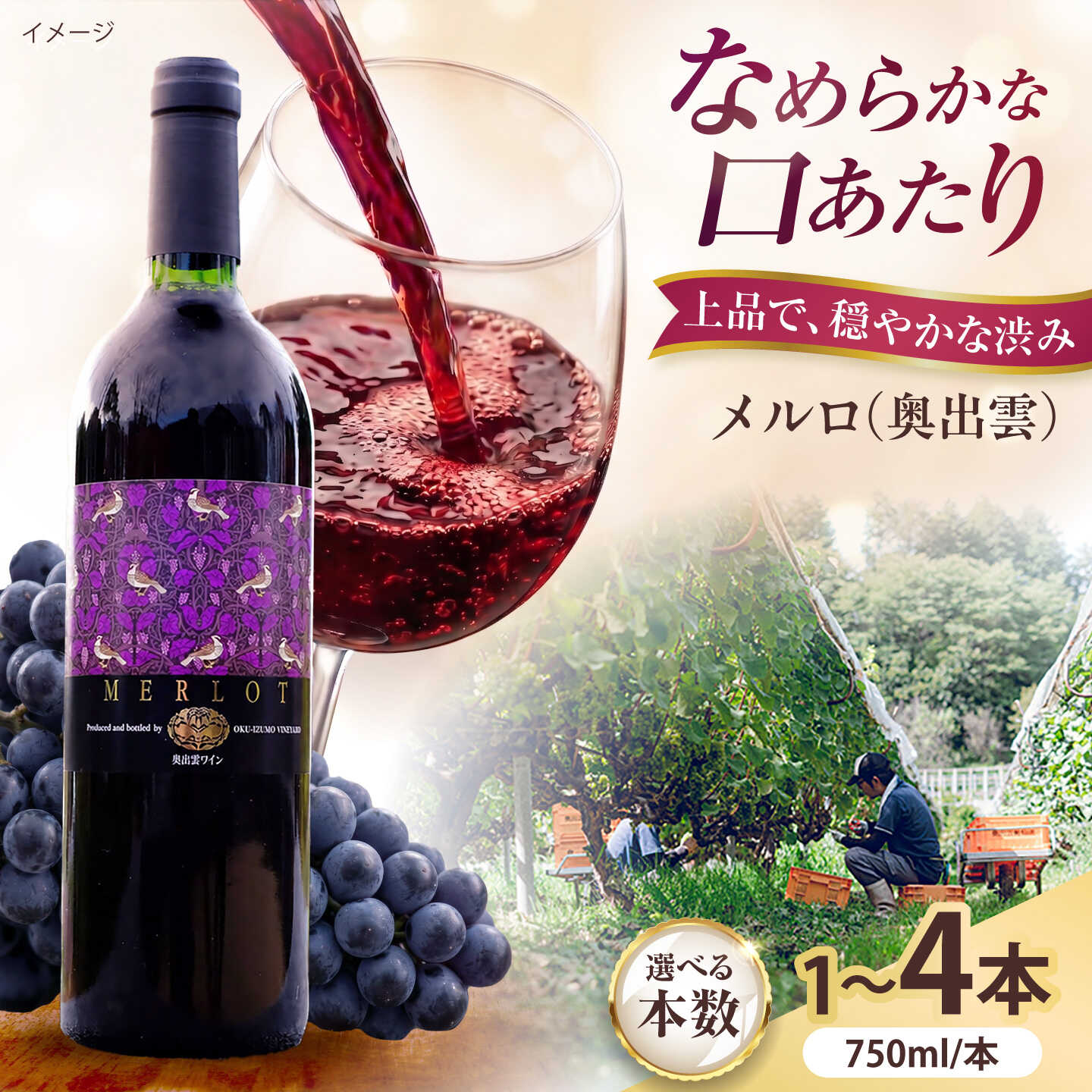 【ふるさと納税】【選べる本数】奥出雲ワイン メルロ 750ml 赤ワイン 国産 島根県雲南市/有限会社奥出雲葡萄園[AICS094]