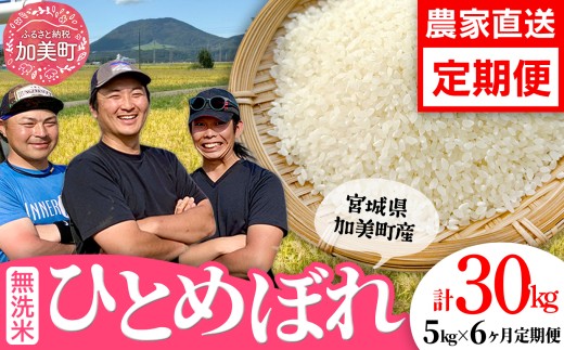 先行予約（2026年10月中旬～発送） 令和8年産【無洗米】【5kg×6回 計30kg】 米 宮城県産 ひとめぼれ 5kg 定期便  白米 精米 ご飯 ごはん コメ こめ お米 小分け 家庭用 結心ファーム [ 宮城県 加美町 ]