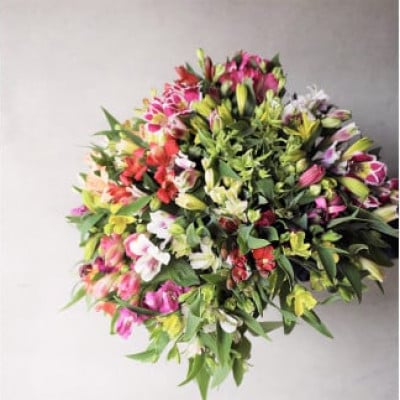 
                  アルストロメリア 切花(色・品種おまかせ) 60センチ30本セット【1567298】
                