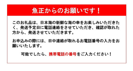 日本海直送 【高級鮮魚5種】鮮魚ボックス 旬の魚詰め合せ 魚のプロが選んだ厳選魚 新潟 糸魚川 能生漁港から朝獲れ新鮮な魚をお届け 生 (国産 天然 海鮮 お刺身 魚介類セット 鮮魚BOX 便利 簡単