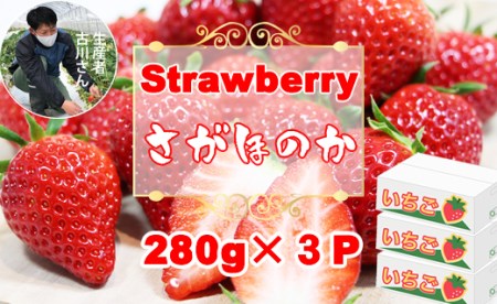 【先行予約（１月から順次出荷】さがほのか（280ｇ×３パック）（ふるかわ農園）  B120-002