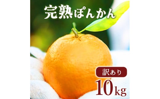 【先行予約】訳アリ完熟ぽんかん＜5kg＞×2箱セット10kg 国産 東洋町産 訳あり 甘酸っぱい 甘い 蜜柑 ミカン ジューシー 高知県 東洋町 四国 お取り寄せ フルーツ 果物 送料無料 産地直送 F143