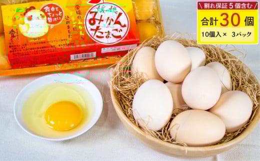 【1月発送】媛っ娘 みかんたまご 30個 ※割れ保証5個含む 卵 たまご タマゴ 玉子 卵料理 卵かけごはん TKG エッグ egg 松山 愛媛県