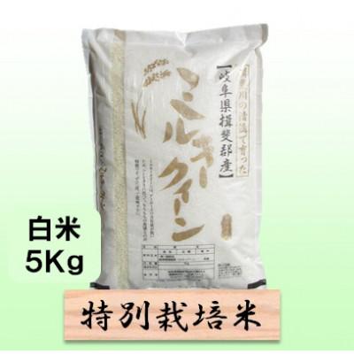 ふるさと納税 池田町 【令和7年産】特別栽培米 5kg【白米】(ミルキークイーン)