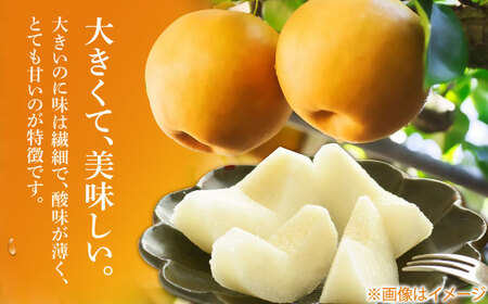 【先行予約】 まるはり新高梨（約800g×2玉入） 〈2025年9月下旬から発送開始〉 / 新高梨 梨 果物 フルーツ デザート 　【高知市農業協同組合】[ATBK001]