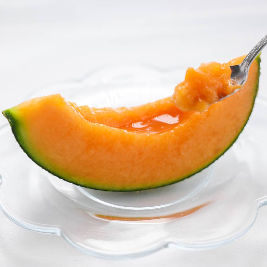 ＜山一ファーム＞旬の時期にお届け 茨城県産 2種のメロンの定期便A