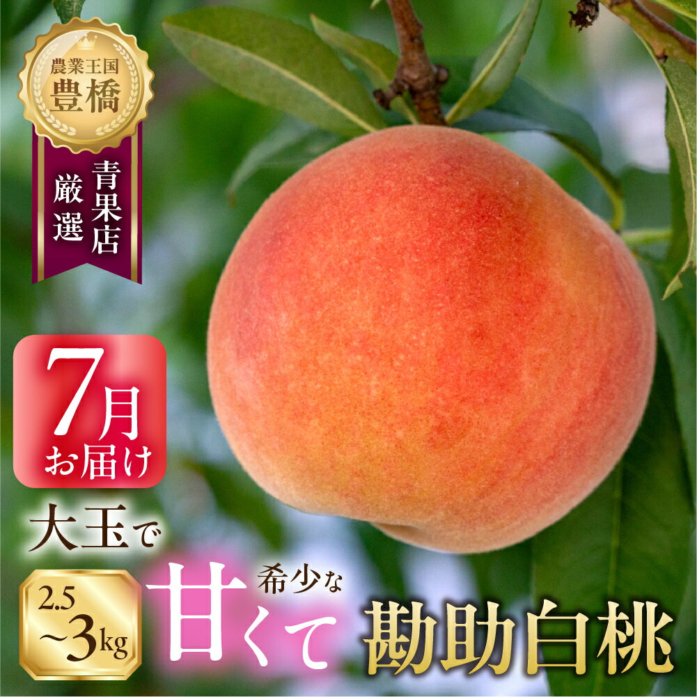 【ふるさと納税】≪先行予約≫ 超稀少！『石巻の勘助白桃』 2.5~3kg（6〜10 玉） 豊橋産 白桃 桃 フルーツ 数量限定 モモ フルーツ 果実 スイーツ 贈答 ギフト 15000円 稀少 貴重 愛知県 豊橋市