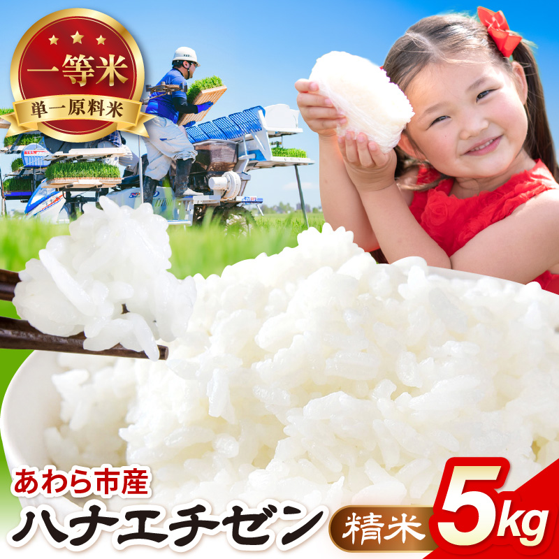 【先行予約】【令和8年産】ハナエチゼン 精米 5kg（農事組合法人イーノなかのはま100） / 北陸 福井県産 あわら市 ブランド米 白米 お米 コメ ※2026年10月より順次発送予定 [aw139