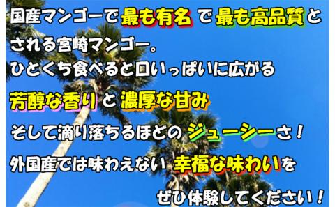 《期間・数量限定》完熟!宮崎マンゴー 特秀 大玉3Lサイズ ２玉 化粧箱入り