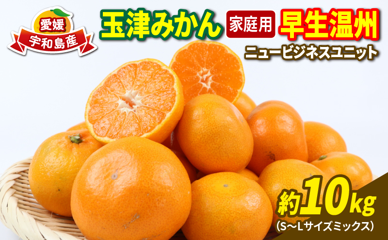 愛媛 みかん 早生 温州 10kg 家庭用 S~L サイズ ミックス 玉津みかん ニュービジネスユニット 先行予約 早生温州 温州みかん 蜜柑 果物 くだもの フルーツ 柑橘 蜜柑 mikan 愛媛蜜柑 愛媛みかん 農家直送 産地直送 数量限定 国産 宇和島 B015-058001