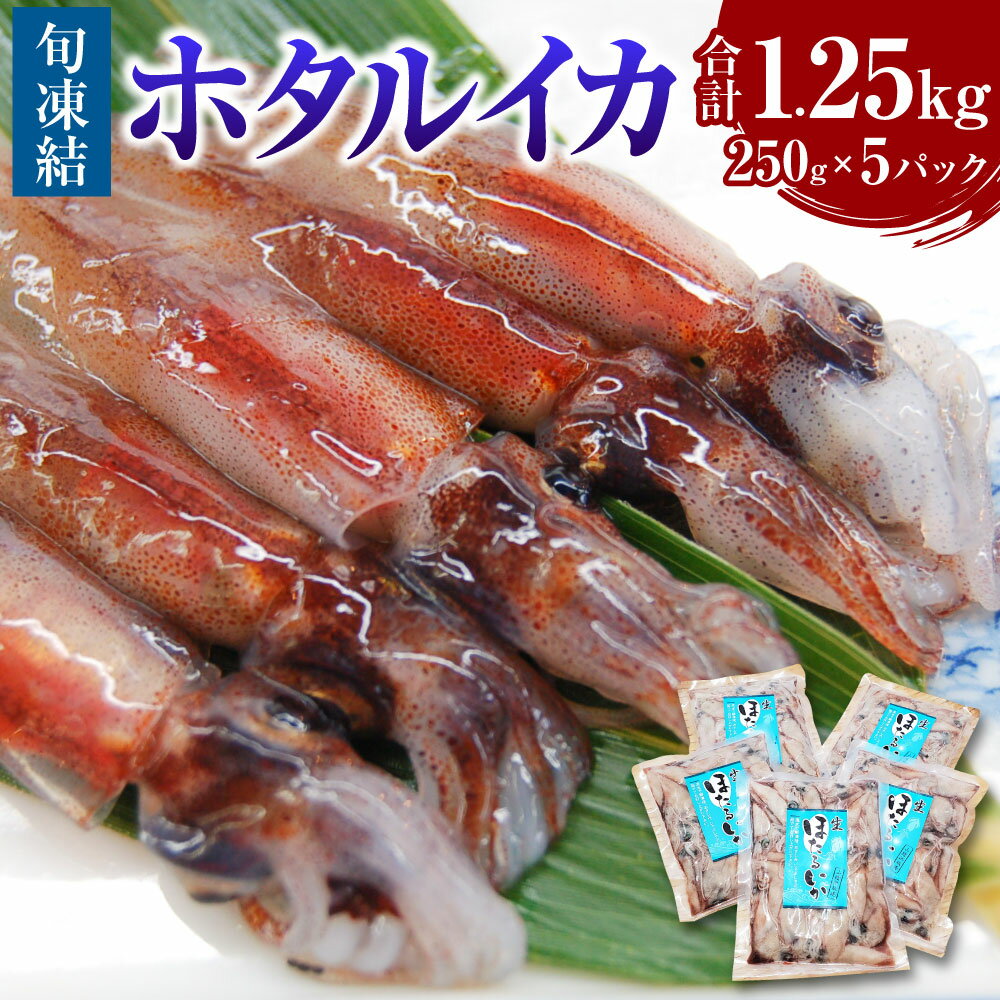 【ふるさと納税】旬凍結ホタルイカ 約250g×5パック 合計1.25kg ほたるいか ホタルイカ いか イカ 海鮮 魚介 刺身 刺し身 沖漬け 旬凍結 3Dフリーザー凍結 冷凍 お取り寄せ 説明書付き【3D凍結】【配送不可地域：離島】 兵庫県 新温泉町 送料無料
