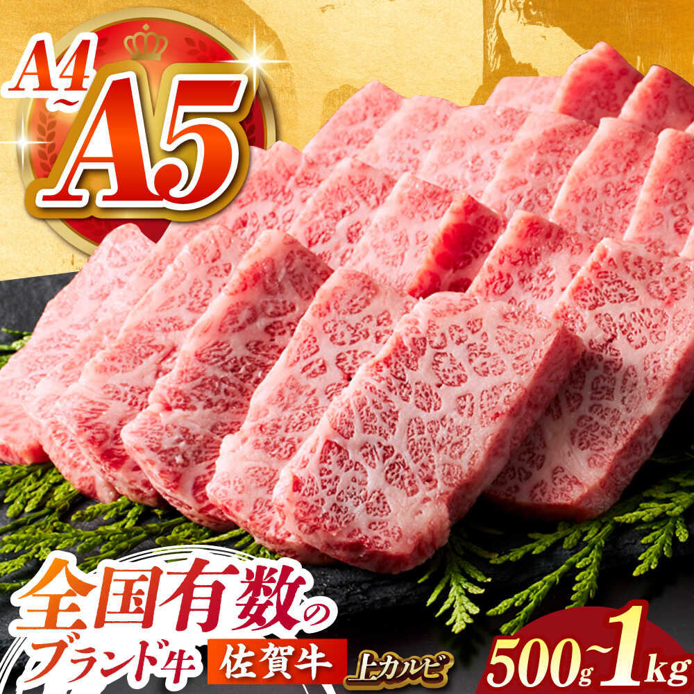 【ふるさと納税】【全国有数のブランド牛】佐賀牛 上カルビ ( 500g / 1kg ) A5 A4 牛肉 焼肉 カルビ | 佐賀県 江北町 |【がばいフーズ】[HCS006]