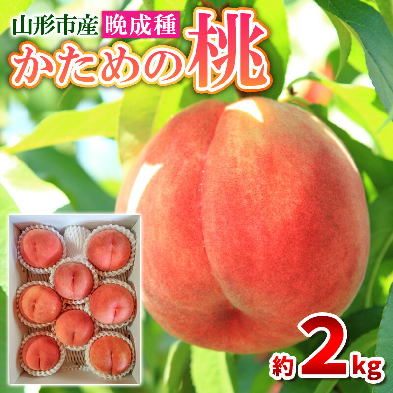 【ふるさと納税】かための桃 秀 晩成種 約2kg (4～9玉)[伊達白桃 さくら白桃] FY25-296