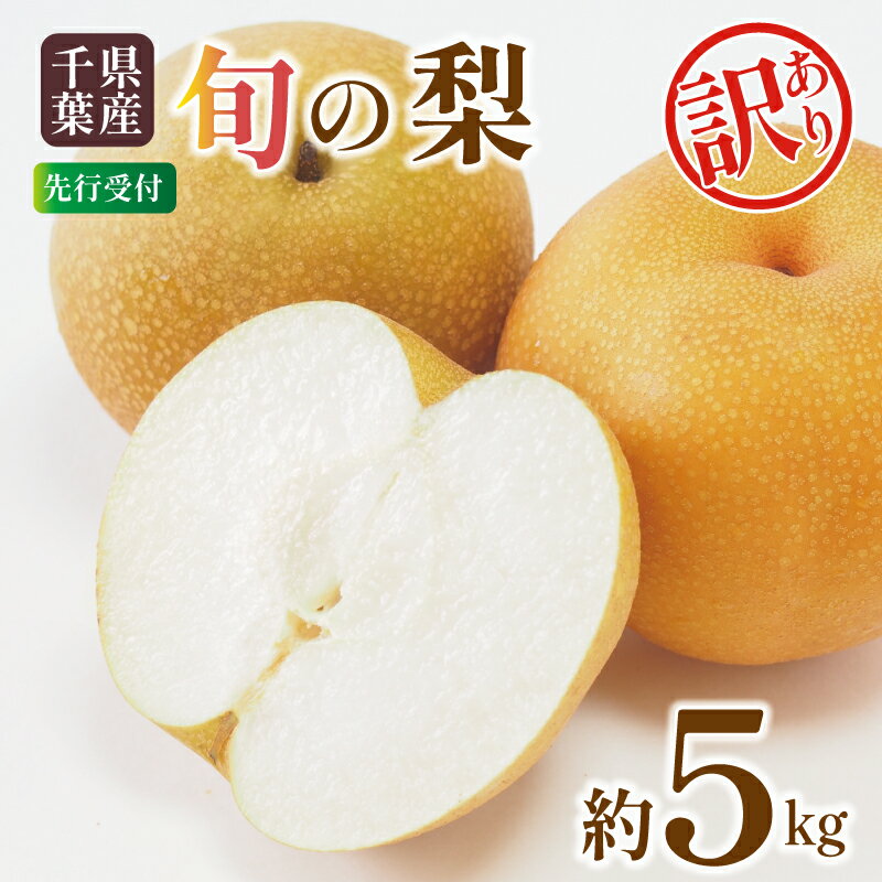 【ふるさと納税】 梨 訳あり 約 5kg 品種 おまかせ 豊水 あきづき 新高 等 7玉～14玉 旬の梨 千葉県産 果物 果実 くだもの フルーツ 旬 なし ナシ 和梨 豊水梨 秋月 訳アリ 2026 先行予約 2026年 国産 関東 千葉 千葉産 新鮮 家庭用 自宅用 送料無料 千葉県 旭市 齋藤園