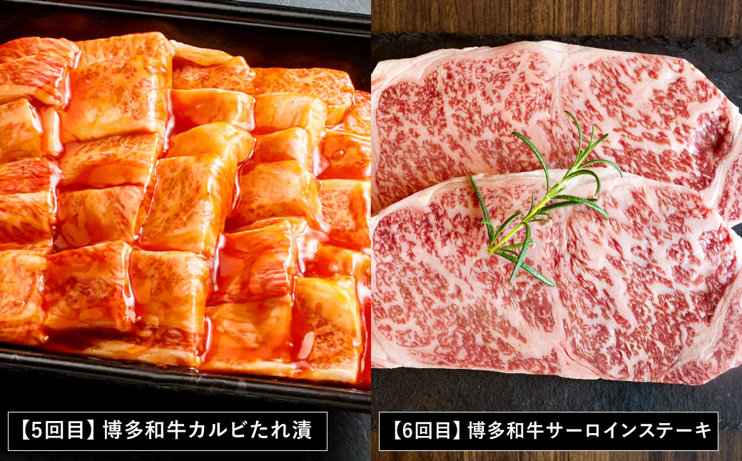 【6ヶ月定期便】焼肉の龍園 博多和牛 定期便 セット ハンバーグ 切り落とし 焼き肉 ロース カルビ 国産