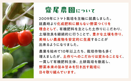 347.鬼のとまと◇　※2025年6月上旬～10月下旬頃に順次発送予定