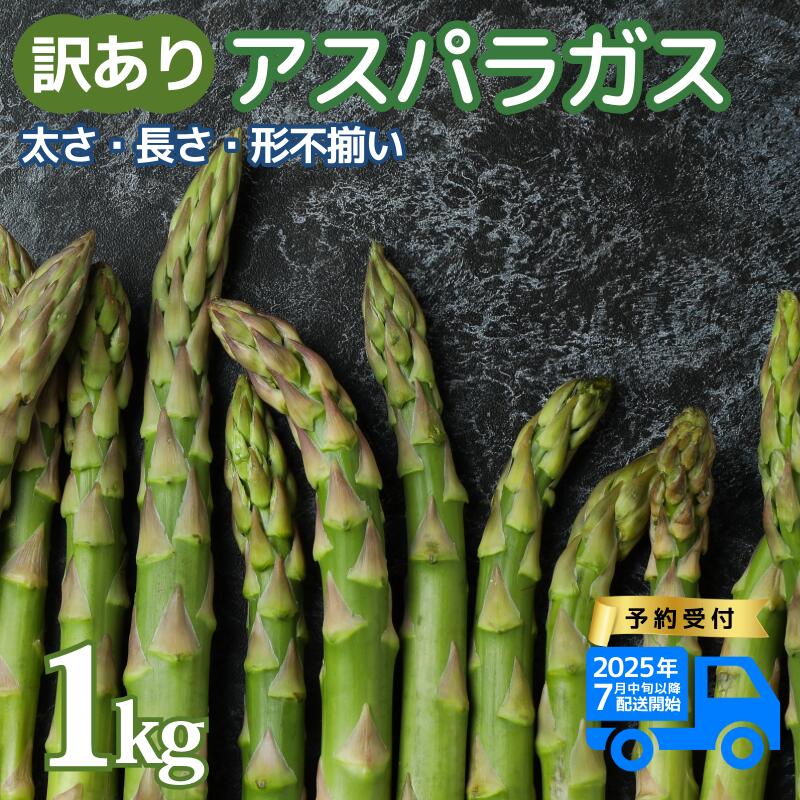 【ふるさと納税】 令和7年産 訳あり アスパラガス 1kg アスパラ 甘い 柔らかい 特産品 野菜 春野菜 夏野菜 JA北新潟 新潟県 新発田産 新発田市 JA002